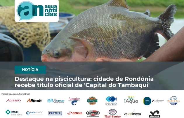 Capa Destaque na piscicultura: cidade de Rondônia recebe título oficial de 'Capital do Tambaqui'