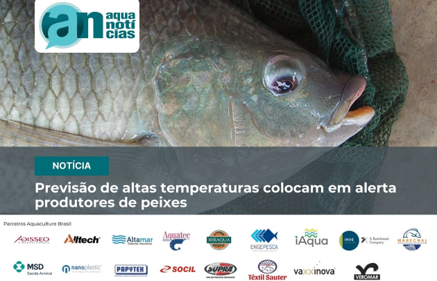 Capa Previsão de altas temperaturas colocam em alerta produtores de peixes