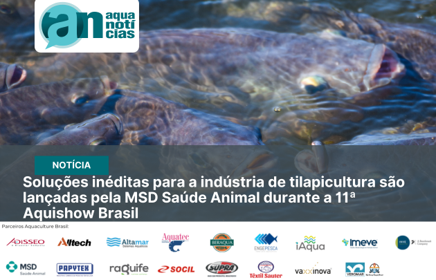 Capa Soluções inéditas para a indústria de tilapicultura são lançadas pela MSD Saúde Animal durante a 11ª Aquishow Brasil
