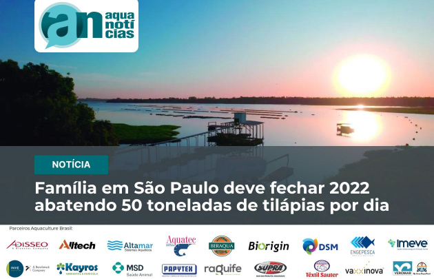 Capa Família em São Paulo deve fechar 2022 abatendo 50 toneladas de tilápias por dia