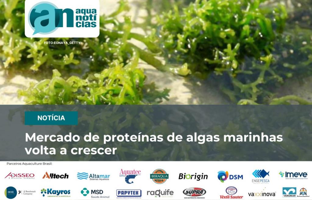 Mercado de proteínas de algas marinhas volta a crescer - Notícias -  Aquaculture Brasil - O maior portal brasileiro sobre aquicultura