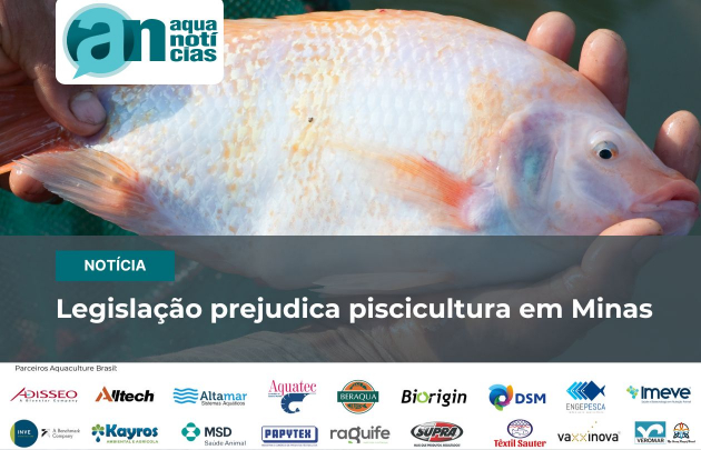 Capa Legislação prejudica piscicultura em Minas