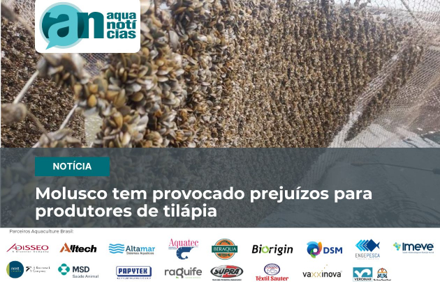 Capa Molusco tem provocado prejuízos para produtores de tilápia