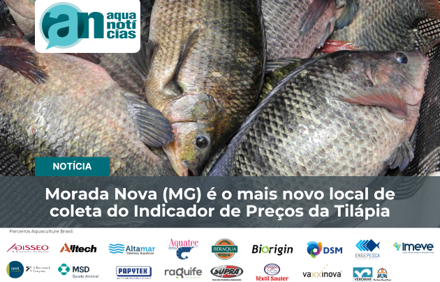 Capa Morada Nova (MG) é o mais novo local de coleta do Indicador de Preços da Tilápia