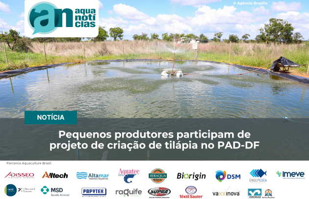 Capa Pequenos produtores participam de projeto de criação de tilápia no PAD-DF
