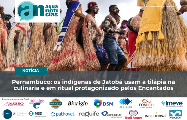 Capa Pernambuco: os indígenas de Jatobá usam a tilápia na culinária e em ritual protagonizado pelos Encantados