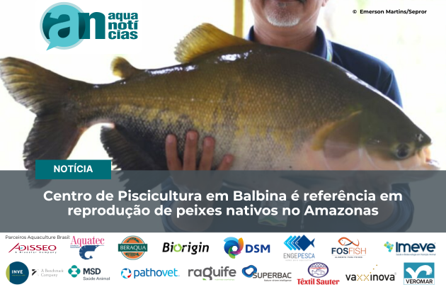 Capa Centro de Piscicultura em Balbina é referência em reprodução de peixes nativos no Amazonas