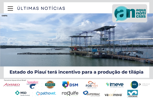 Capa Estado do Piauí terá incentivo para a produção de tilápia