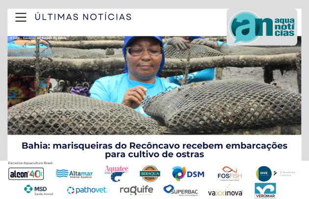 Capa Bahia: marisqueiras do Recôncavo recebem embarcações para cultivo de ostras