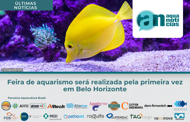 Capa Feira de aquarismo será realizada pela primeira vez em Belo Horizonte