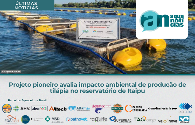 Capa Projeto pioneiro avalia impacto ambiental de produção de tilápia no reservatório de Itaipu