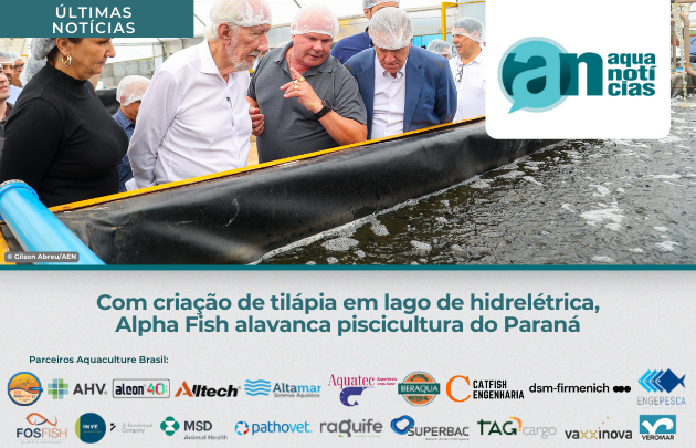 Capa Com criação de tilápia em lago de hidrelétrica, Alpha Fish alavanca piscicultura do Paraná