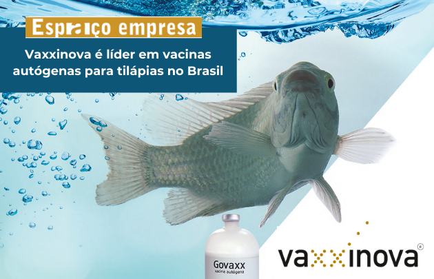 Capa Vaxxinova é líder em vacinas autógenas para tilápias no Brasil